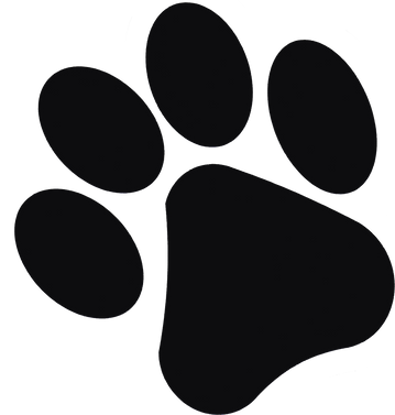 Animal Footprint Illustration